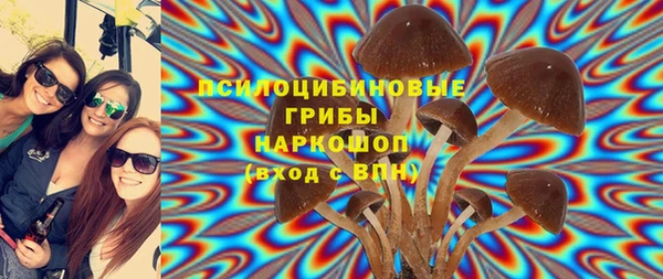 стафф Нефтекумск