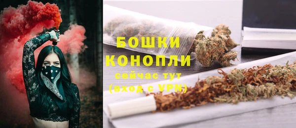 дживик Новодвинск