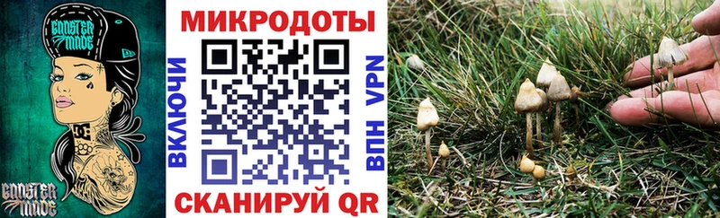 MEGA онион  где купить наркоту  Яровое  Галлюциногенные грибы мухоморы 